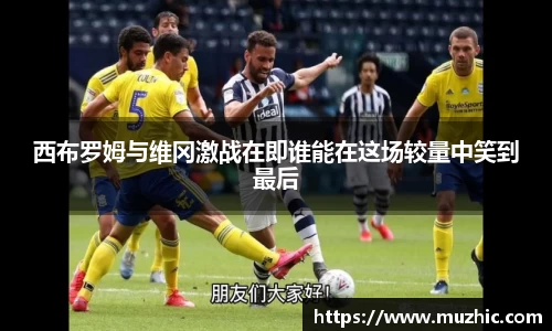中欧体育